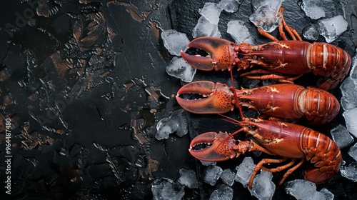 Fresh red lobsters resting on a bed of ice on a dark background, offering a mouth-watering and elegant presentation ready for culinary use. photo