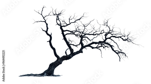 Eerie Halloween Spooky Tree Silhouette Against White Background - Creepy, Gnarled Branches in the Moonlight