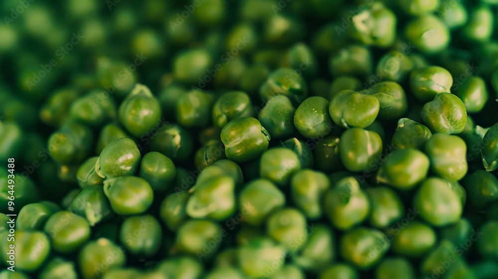 Close-up view of green peas, showcasing their vibrant color and fresh texture in a detailed, natural setting. Close-up view of green peas, showcasing their vibrant color and fresh texture in a detailed, natural setting.