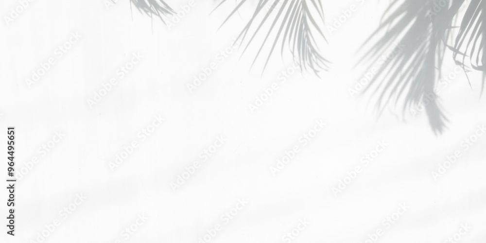 White wall background and palm leaves soft shadows. Natural pattern, gray shadow. Copy space White wall background and palm leaves soft shadows. Natural pattern, gray shadow. Copy space