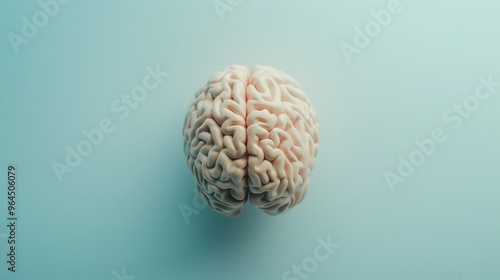 A detailed human brain model stands alone against a cool blue background, highlighting its complexity and significance in a clean and modern style.