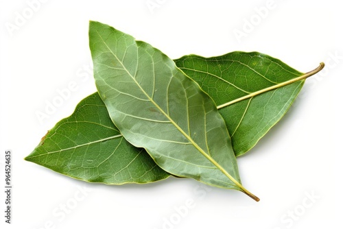 A fresh Bay leaf isolated on white