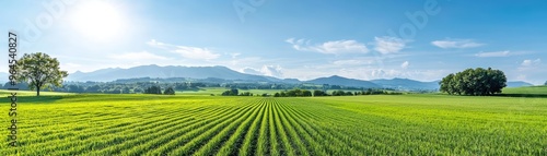 Investors touring an eco-friendly agricultural development project, Green Investment, Sustainable Farming