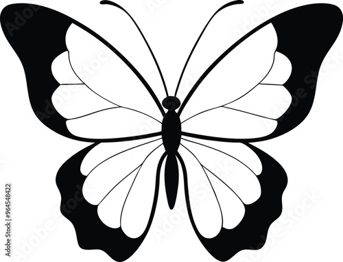 Black and white butterfly vector art illastration photo