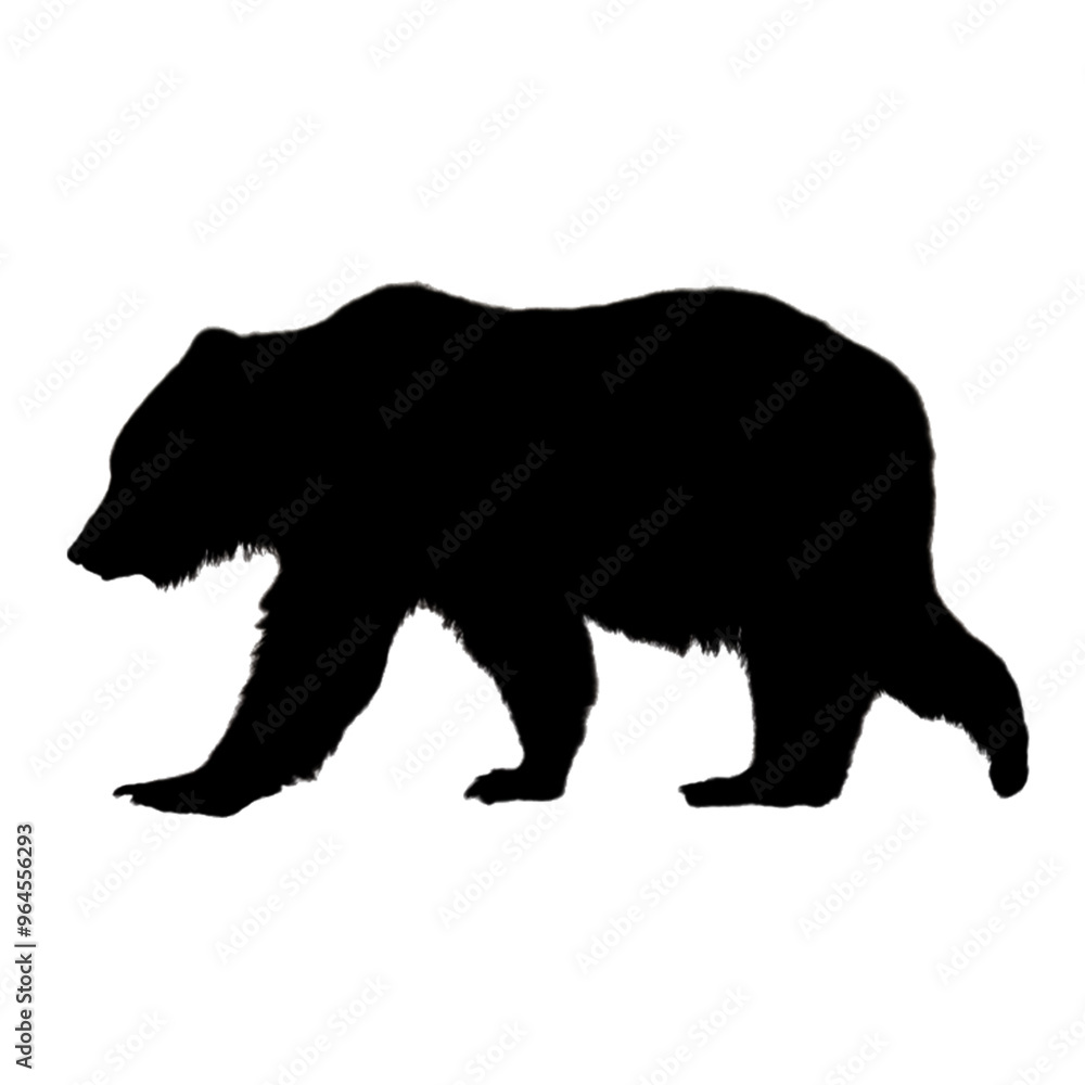 Obraz premium Bear Illustration | Bear Drawing | Bear Icon