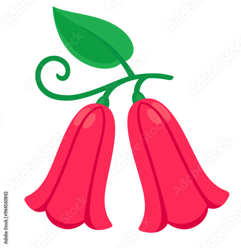 Copihue flower (Chilean Bellflower) illustration