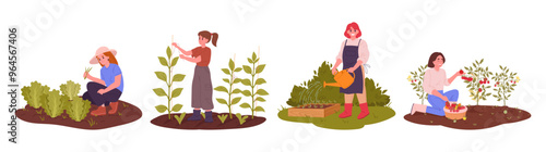 Female farm workers. Agriculture harvesting, women doing gardening and husbandry, people harvesting crop and care about plants flat vector illustration set. Farm work scenes