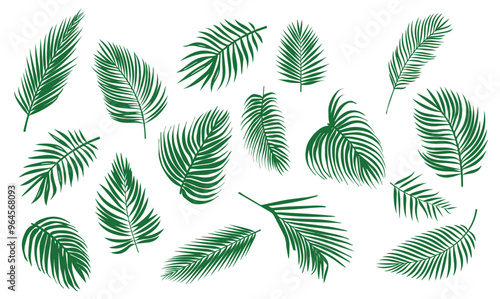 Tropical leaves set