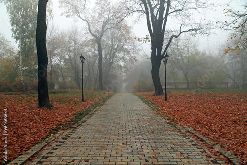 Foggy fall landscape. Late autumn. Empty alley, leading into the distance. An old city park, covered with fallen foliage and fog. Overcast and sad foggy season. Paved sidewalk among fallen leaves