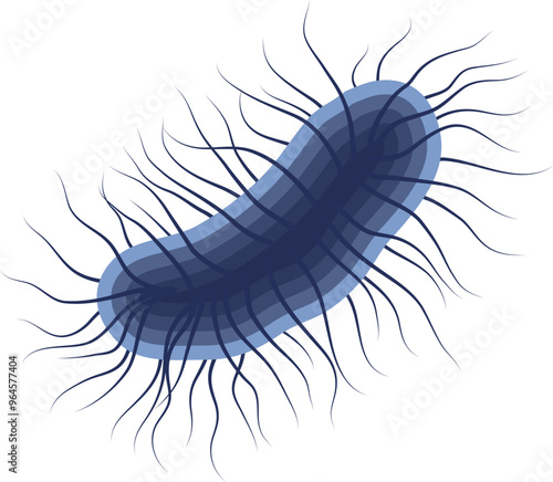 Escherichia Coli Bacteria or E. Coli Illustration Isolated on White Background