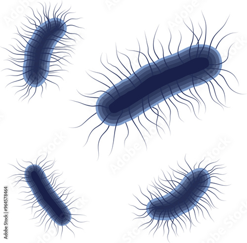 Escherichia Coli Bacteria or E. Coli Illustration Isolated on White Background