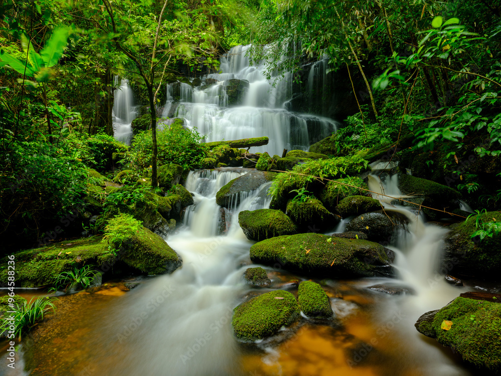 waterfall in the forest waterfall in the forest