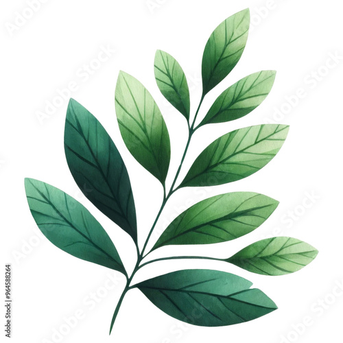 Illustration of green leafy branch on black background