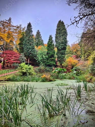 Pond at Parc Cefn Onn, Cardiff, Wales photo