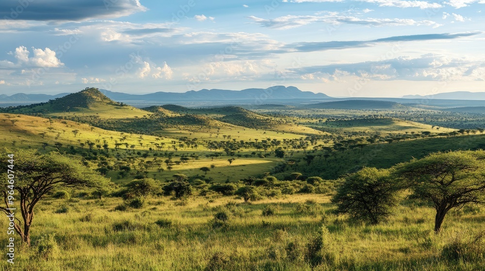 Obraz premium The picturesque landscape of Kenya Laikipia Plateau, with rolling hills and acacia trees.