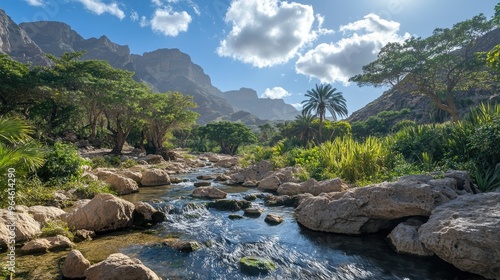 The serene atmosphere of Wadi Dirhur on Socotra Island, with its lush vegetation and flowing stream. photo