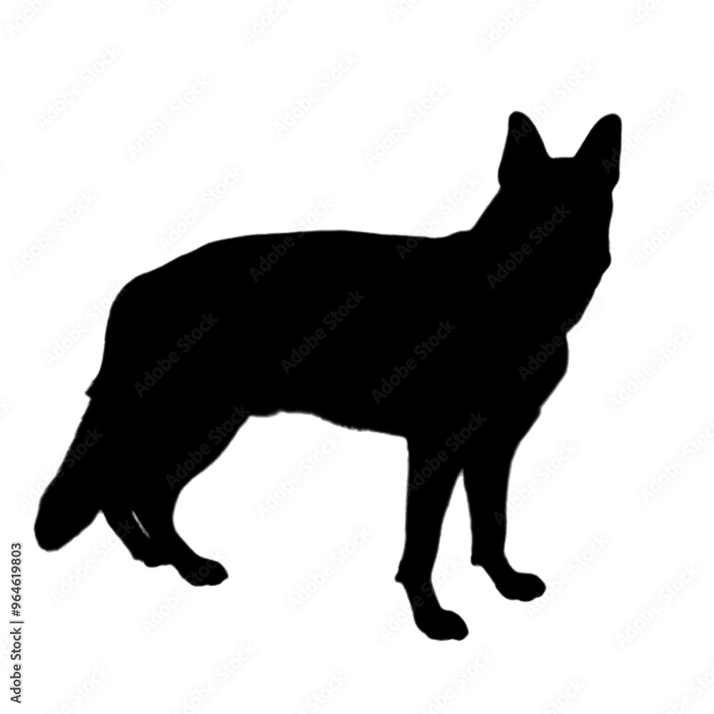 Dog Illustration | Dog Drawing | Dog Icon Dog Illustration | Dog Drawing | Dog Icon