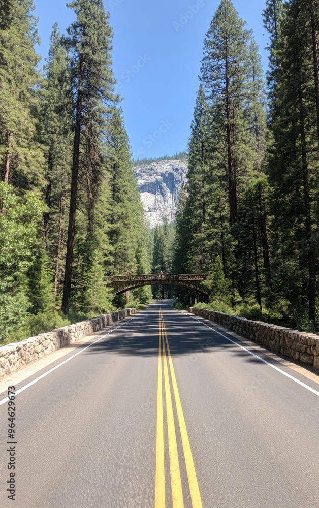 Fototapeta premium Scenic Drive through National Park Featuring Old Stone Bridges and Towering Trees