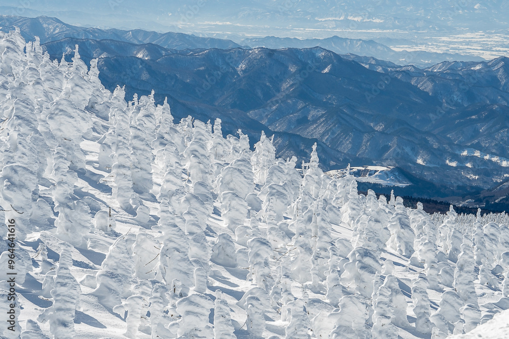 Ταπετσαρία Japanese people are traveling to see snow monsters on Mt. Zao.