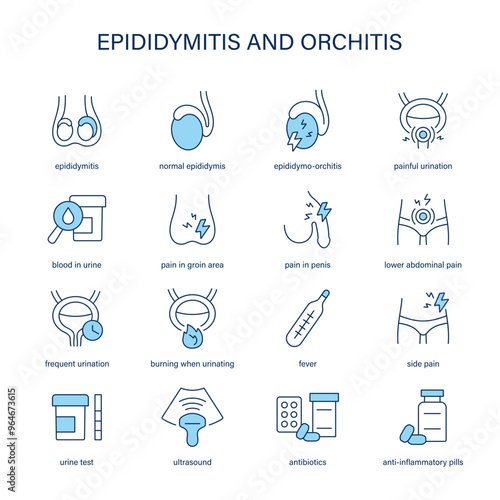 Epididymitis and Orchitis symptoms, diagnostic and treatment vector icons. Medical icons.