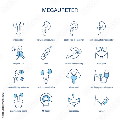 Megaureter symptoms, diagnostic and treatment vector icons. Medical icons.