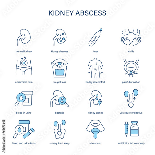 Kidney Abscess symptoms, diagnostic and treatment vector icons. Medical icons.