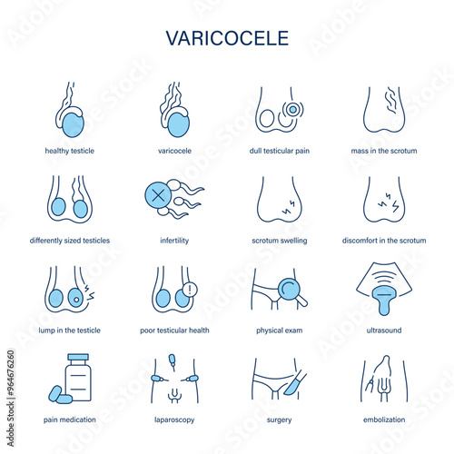 Varicocele symptoms, diagnostic and treatment vector icons. Medical icons.	