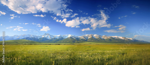 Blue sky and snow capped mountains with grassland. 