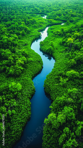 Breathtaking Aerial View of Serene Lush Green Forests and Curving River, Pristine Wilderness, Nature Landscape, Scenic Beauty, Aerial Photography, Natural Habitat, Environmental Conservation