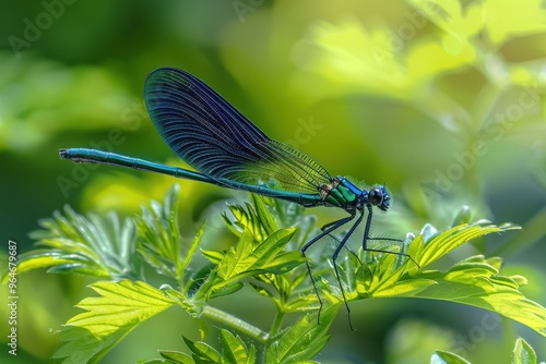 close-up dragonfly. Beautiful simple AI generated image