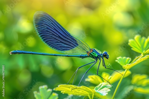 close-up dragonfly. Beautiful simple AI generated image