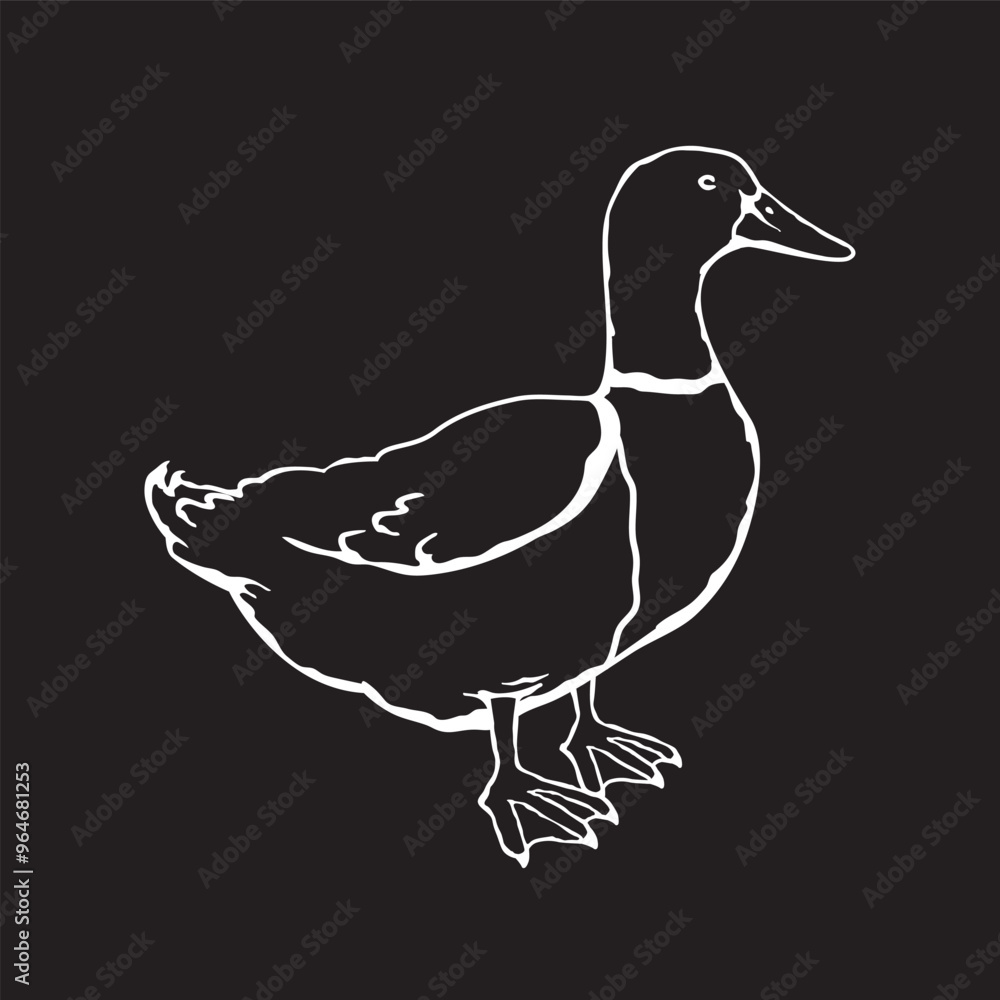 Fototapeta premium game birds_B&W