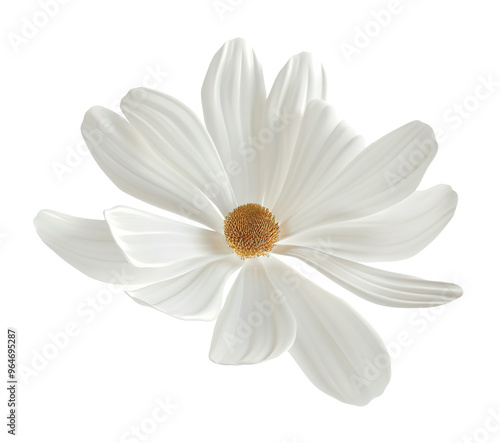 Elegant white flower floating in the air, on transparent  background. Cut out design element for beauty, festive themes. Blossom.