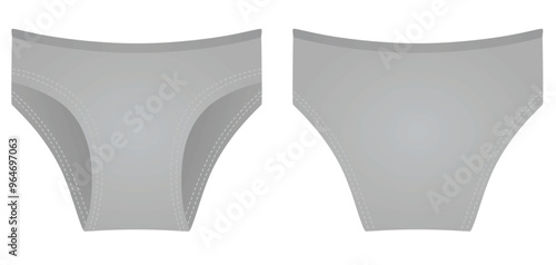 Grey  female panties knickers. vector