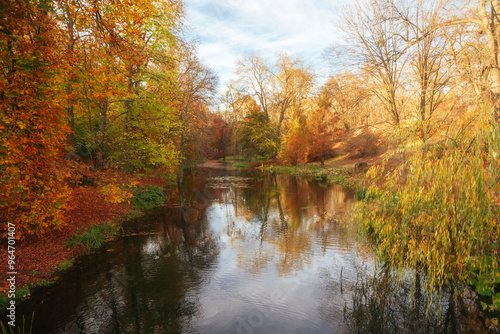 Amazing autumn park (forest) with colorful trees and sunlight. autumn natural background