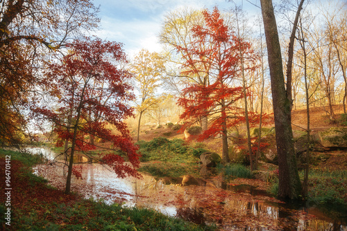 Amazing autumn park (forest) with colorful trees and sunlight. autumn natural background