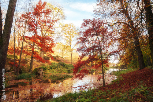 Amazing autumn park (forest) with colorful trees and sunlight. autumn natural background