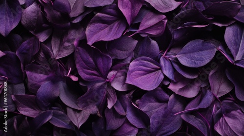 Purple Leaf Background