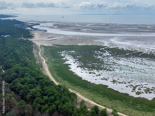 Vue aérienne de la baie à marée basse. L'océan retiré laisse apparaitre le réseau de chemins laissé dans le sable de la baie. Au premier plan une dune avec des arbres et de la pelouse. photo