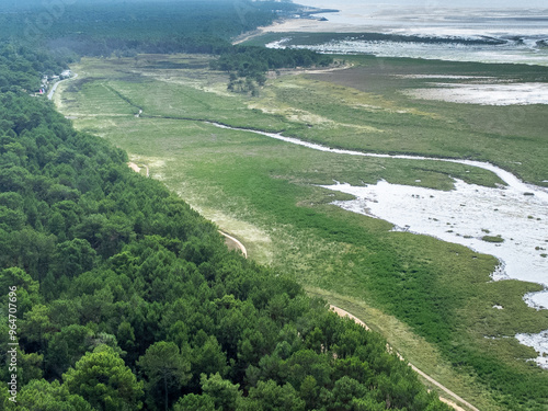 Vue aérienne de la baie à marée basse. L'océan retiré laisse apparaitre le réseau de chemins laissé dans le sable de la baie. Au premier plan une dune avec des arbres et de la pelouse. photo