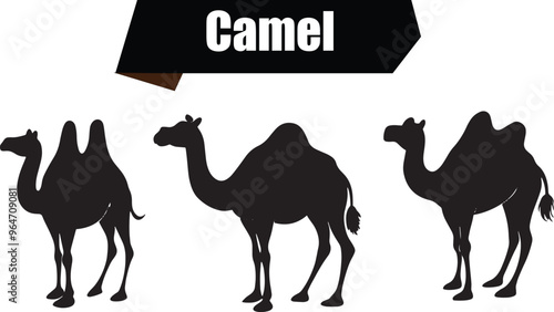 Camel Elegant Silhouette Vector Illustrations