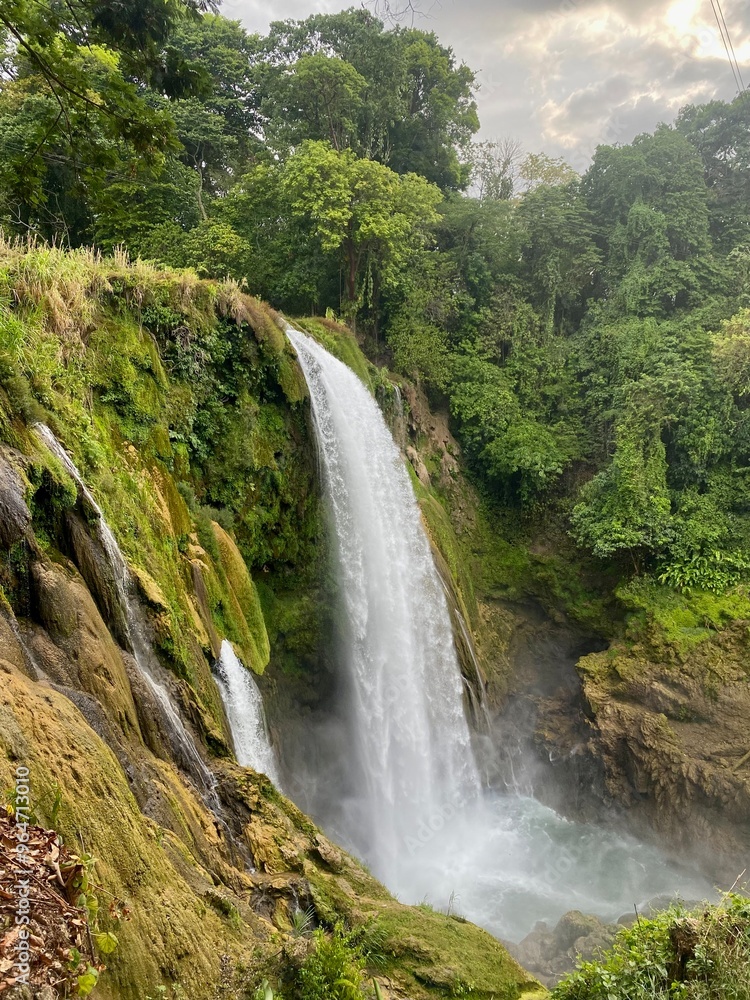 forest waterfall forest waterfall