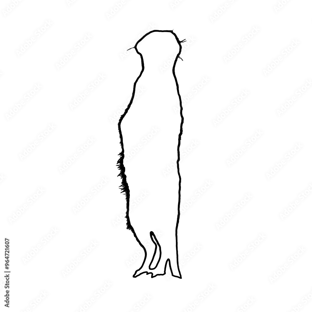 Meerkat Drawing | Meerkat Outline | Hand Drawn Meerkat Meerkat Drawing | Meerkat Outline | Hand Drawn Meerkat