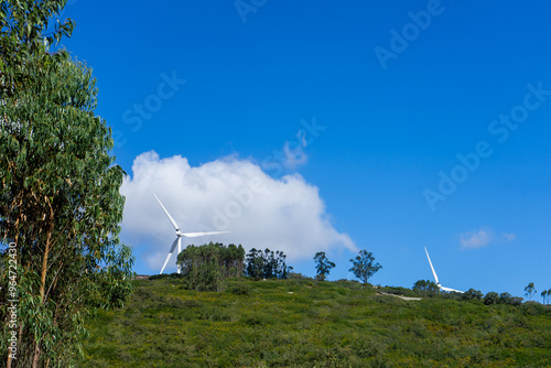 Wind turbines at the Candeeiros Norte Wind Farm in Portugal, set against a backdrop of rolling hills and a clear sky, harnessing renewable energy amidst natural landscapes. photo