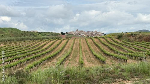 Cirauqui vineyards video