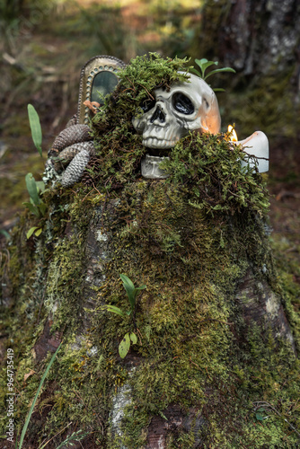 Halloween atmosphere and magical rituals in the middle of the forest with skeletons and enchanted mirror alluding to the other world, candles, moss and autumnal feeling  photo