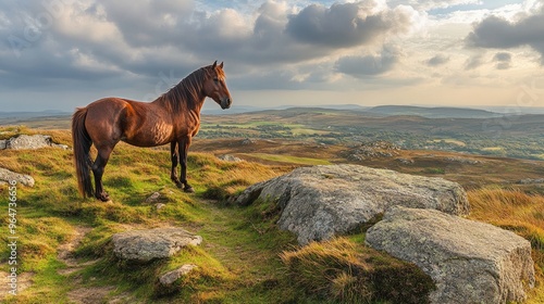 On the Rough Tor on Bodmin Moor in Cornwall, England, there is a wild horse. The second-highest point in Cornwall, England, is Rough Tor, sometimes known as Roughtor, which is located in Bodmin Moor.  photo