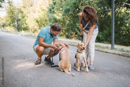 Photography Enjoying warm moments with dogs