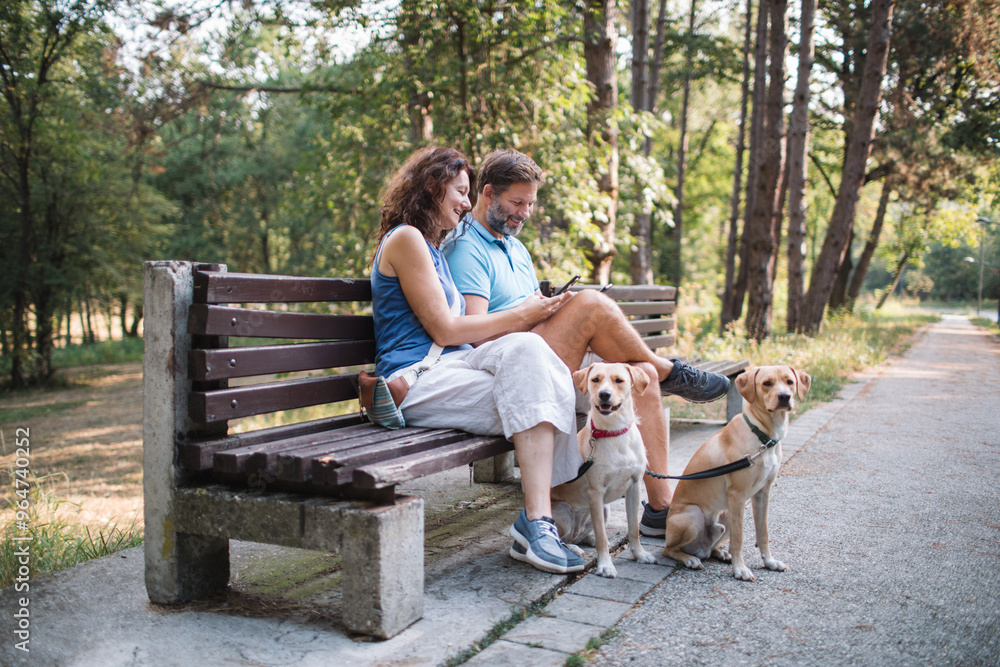 Couple relaxing on the bench with their dogs Couple relaxing on the bench with their dogs