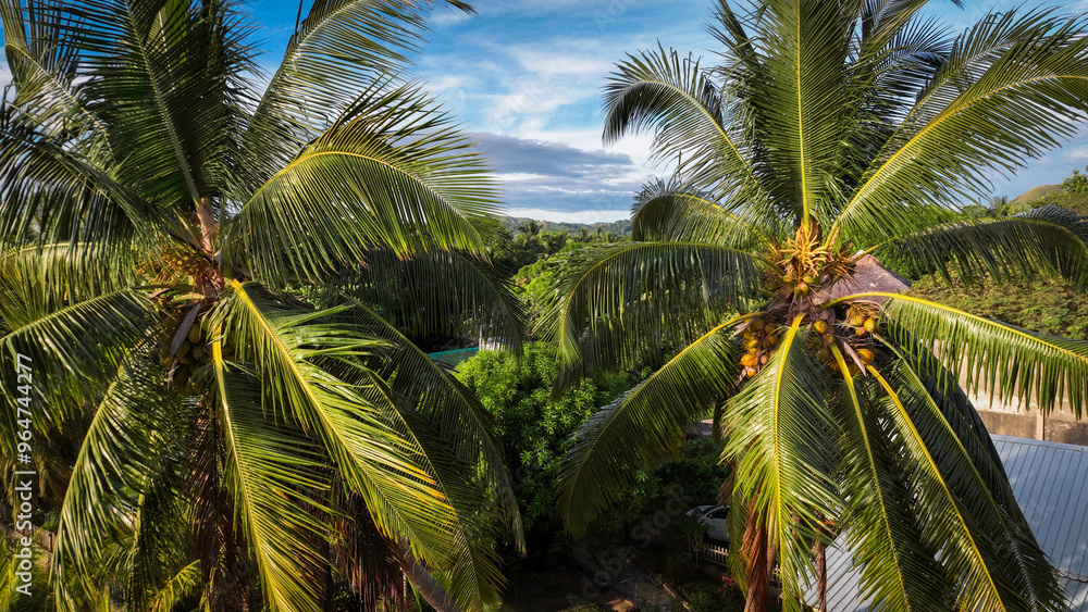 Obraz premium Aerial view of Nosy Be Island in Madagascar showcasing lush palm trees and tropical landscape under a clear sky
